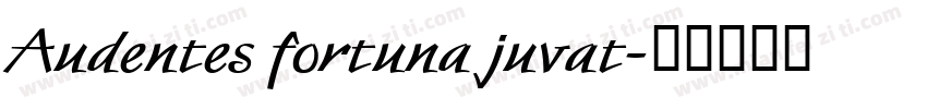 Audentes fortuna juvat字体转换